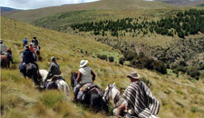 Ecuador-Highlands Riding Tours-Volcano Avenue and Cotopaxi Ride